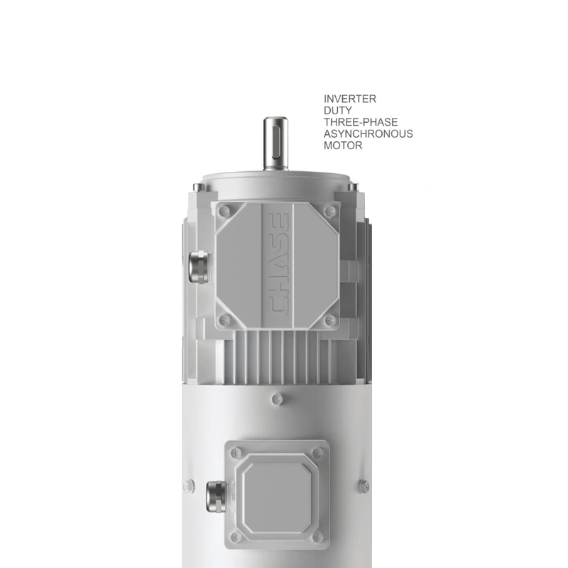Inverter Duty Motor
