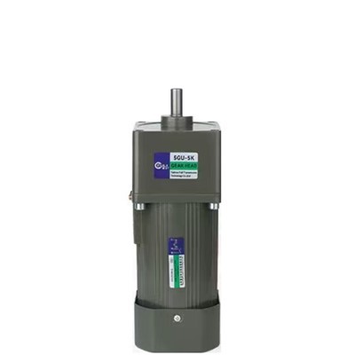 220V 교류 기어 모터의 부식을 방지하는 방법은 무엇일까요?